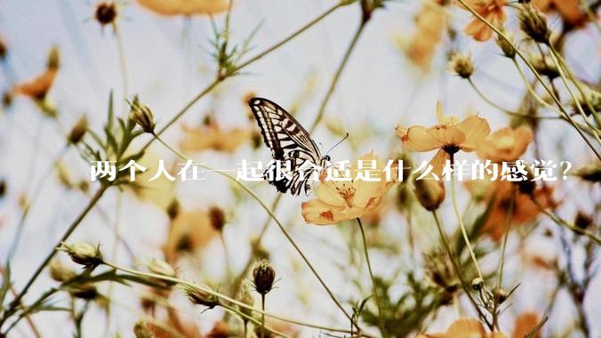 两个人在一起很合适是什么样的感觉？