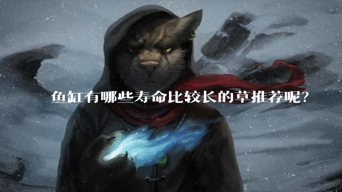 鱼缸有哪些寿命比较长的草推荐呢？