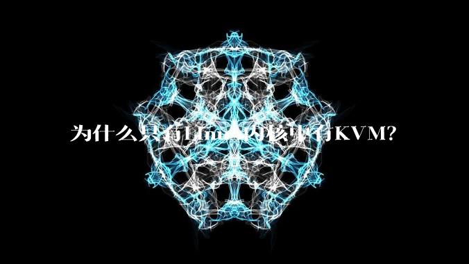 为什么只有Linux内核中有KVM？