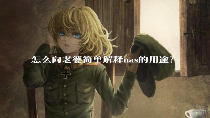 怎么向老婆简单解释nas的用途？