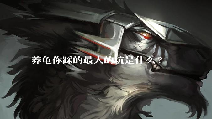 养龟你踩的最大的坑是什么?