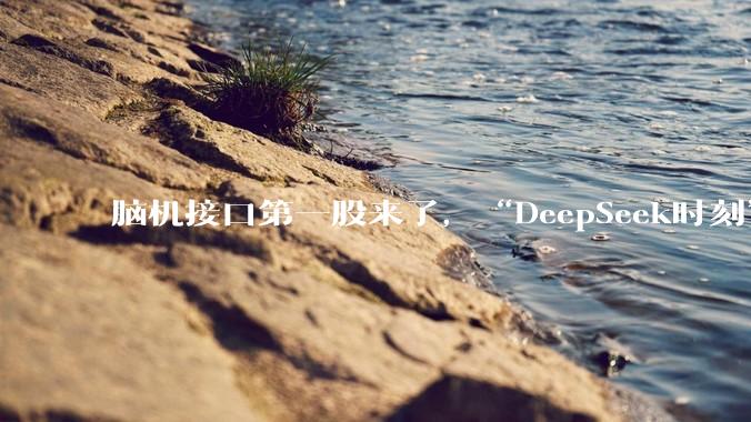 脑机接口第一股来了，“DeepSeek时刻”还没来_大脑_电极_技术