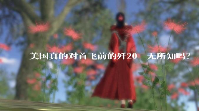 美国真的对首飞前的歼20一无所知吗？