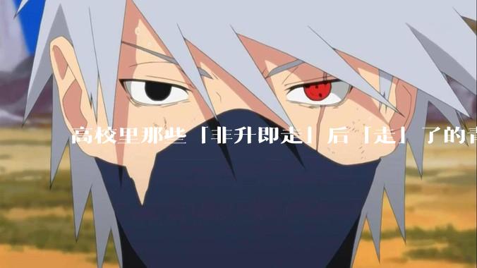 高校里那些「非升即走」后「走」了的青年教师都怎么样了？