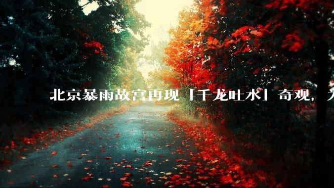 北京暴雨故宫再现「千龙吐水」奇观，为什么故宫古老排水系统历经六百年仍能正常运作？有哪些特别之处？
