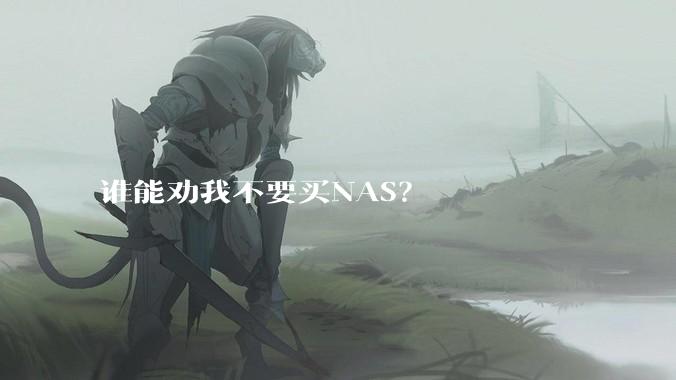 谁能劝我不要买NAS？