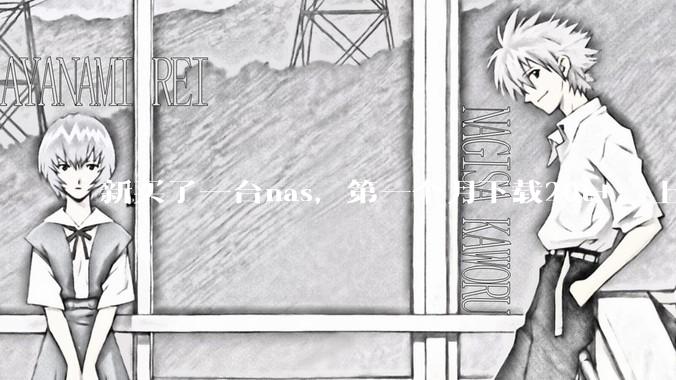 新买了一台nas，第一个月下载20t+，上传5+，不会被网警盯上吧?