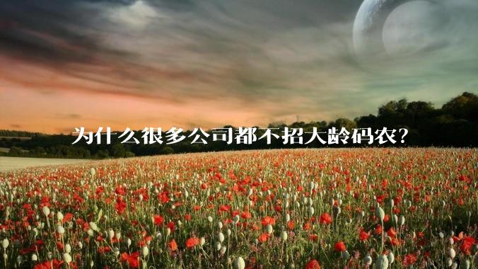 为什么很多公司都不招大龄码农？